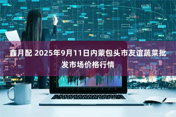 鑫月配 2025年9月11日内蒙包头市友谊蔬菜批发市场价格行情