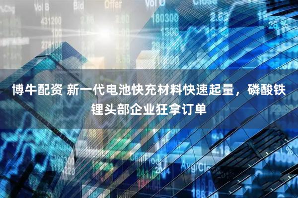 博牛配资 新一代电池快充材料快速起量，磷酸铁锂头部企业狂拿订单