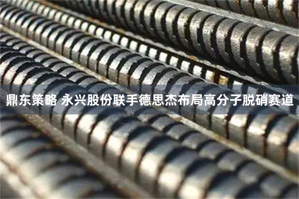 鼎东策略 永兴股份联手德思杰布局高分子脱硝赛道