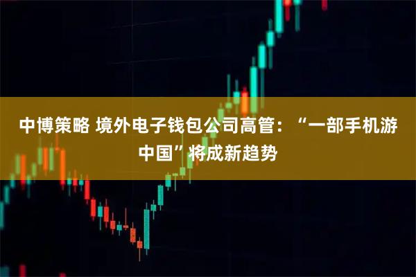 中博策略 境外电子钱包公司高管:“一部手机游中国”将成新趋势