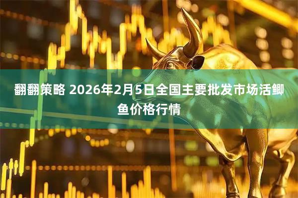 翻翻策略 2026年2月5日全国主要批发市场活鲫鱼价格行情